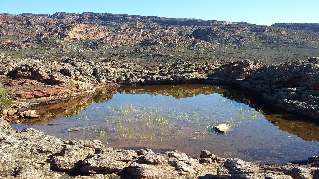Kleinfontein Villa Clanwilliam Eksteriør billede